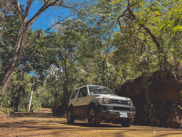 Suzuki Jimny in jungle